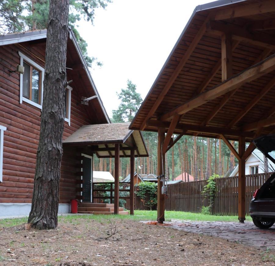 Dacha 6 Villa Voropayev Eksteriør billede