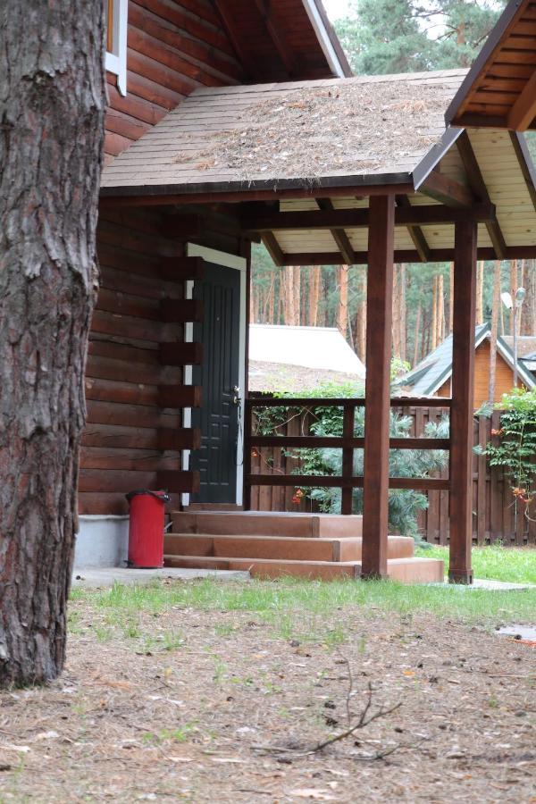 Dacha 6 Villa Voropayev Eksteriør billede