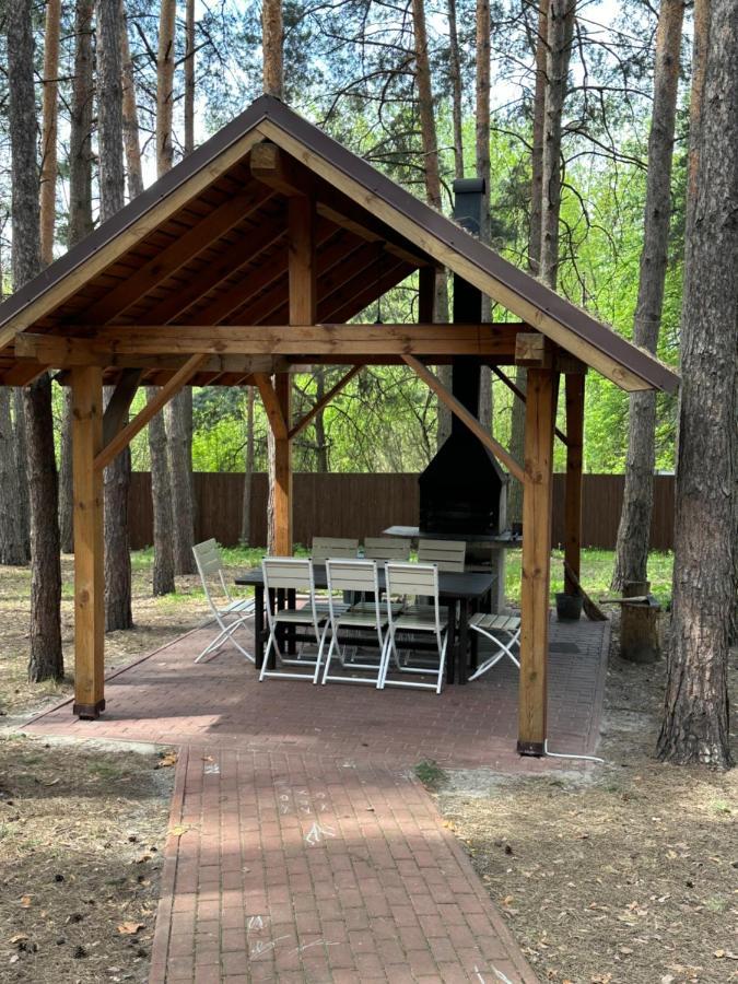 Dacha 6 Villa Voropayev Eksteriør billede